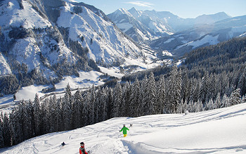 Skiing in Schneebärenland