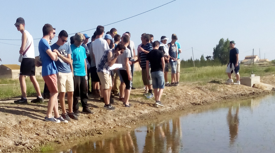 Geography Trip to the Ebro Delta