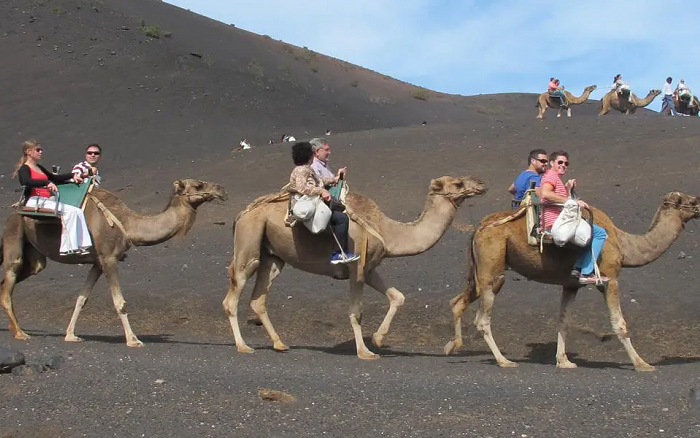 Geography trip to Lanzarote Camel ride