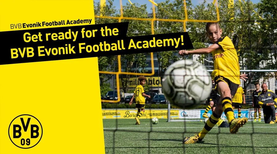 Borussia Dortmund football experience