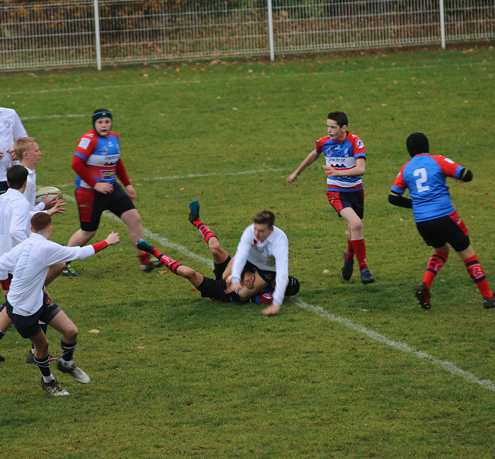 Rugby trip to Toulouse