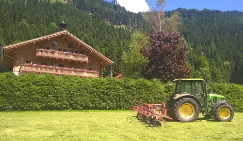Making Hay in Untertauern